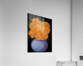 Sweet Roses Acrylic Print