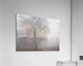 Arrival II Acrylic Print