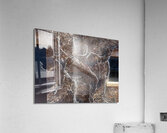 Winter III Acrylic Print