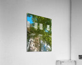Umbrella II Acrylic Print