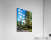 All Lined Up Acrylic Print