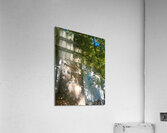 Umbrella IV Acrylic Print