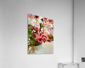 Flower Vase II Acrylic Print
