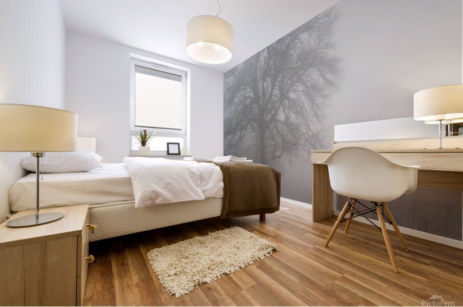 Arrival II Mural print