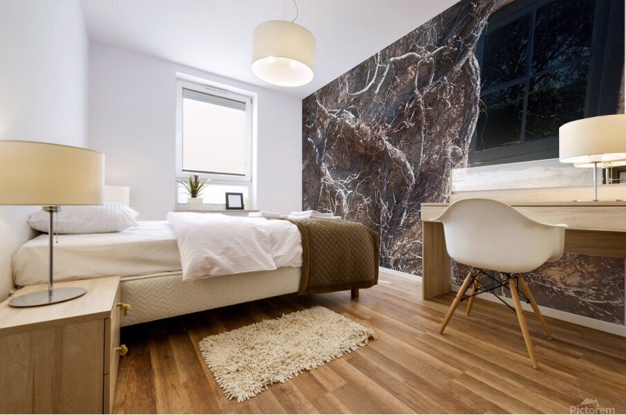 Winter I Mural print