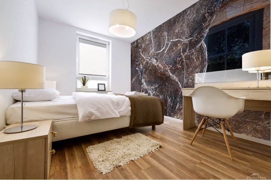 Winter II Mural print