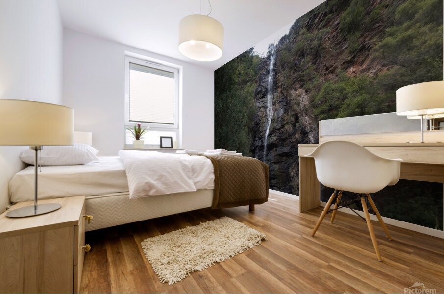 Waterfall Gully II Mural print