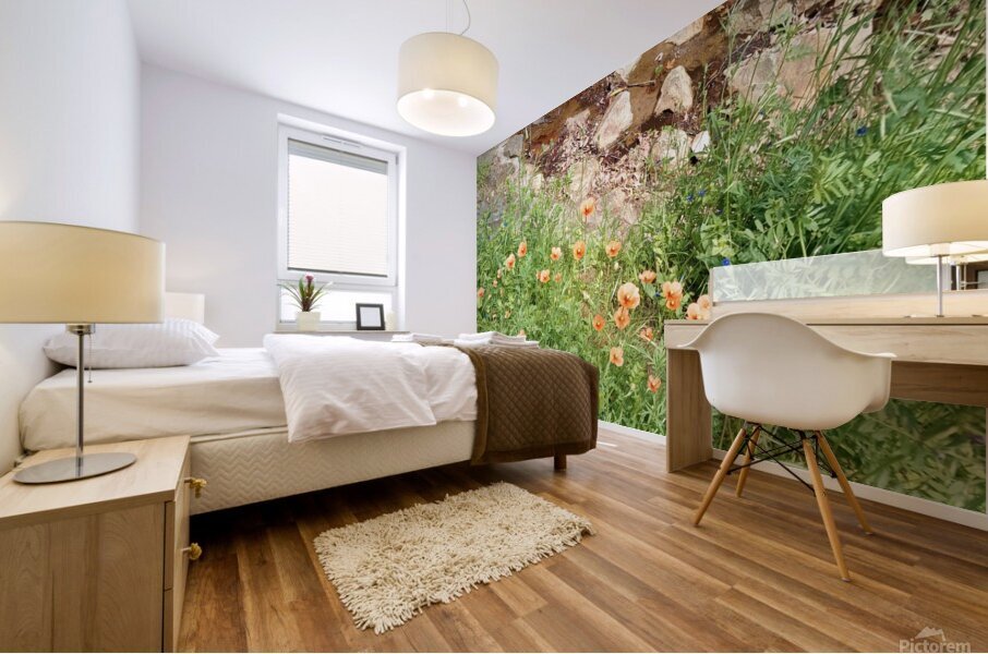 Poppies & Rust Mural print
