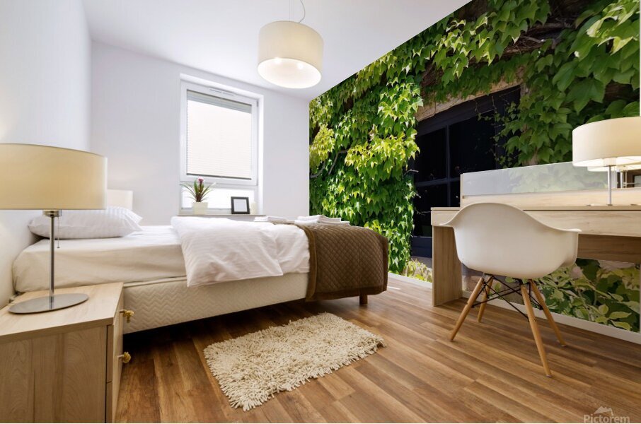 Spring Vines VI Mural print