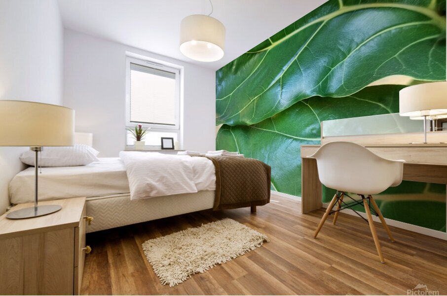 Fiddle Leaf II Mural print