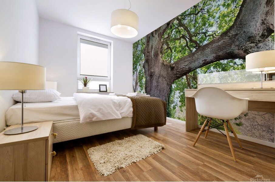 Prehistoric Mural print