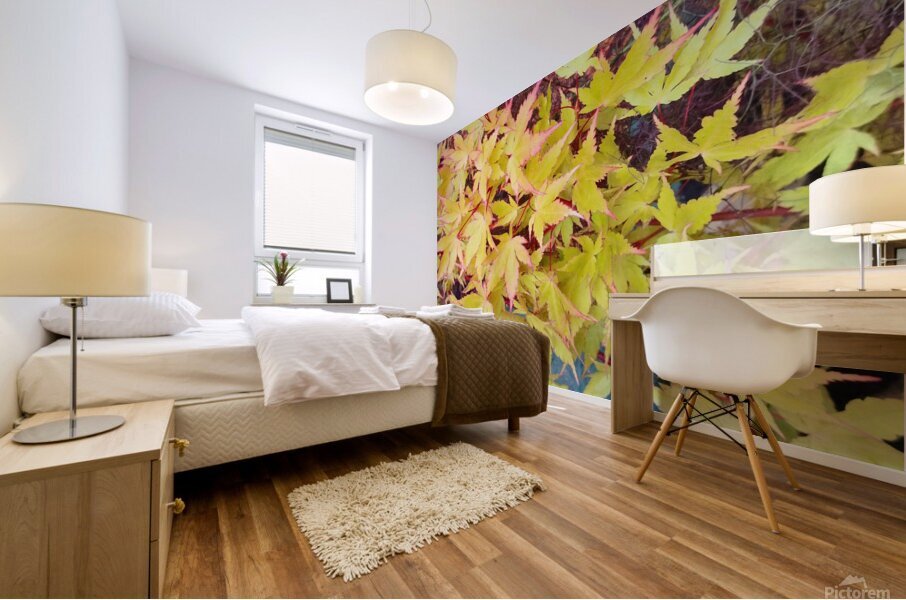 Japanese Maple Mural print