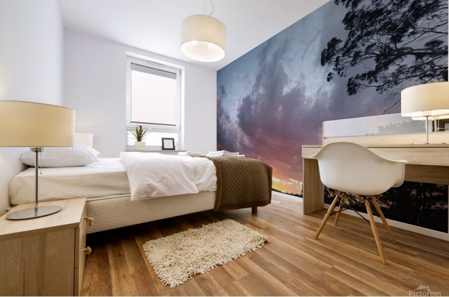 Sun Down Mural print