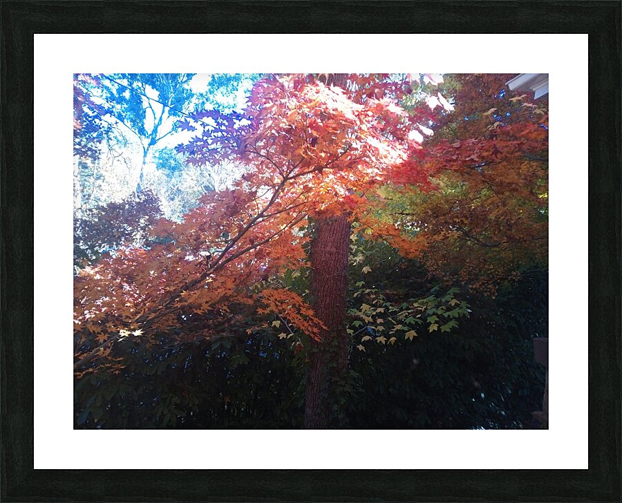 Ethereal Series 4 Picture Frame print