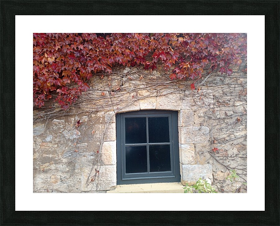Vine 2 Picture Frame print