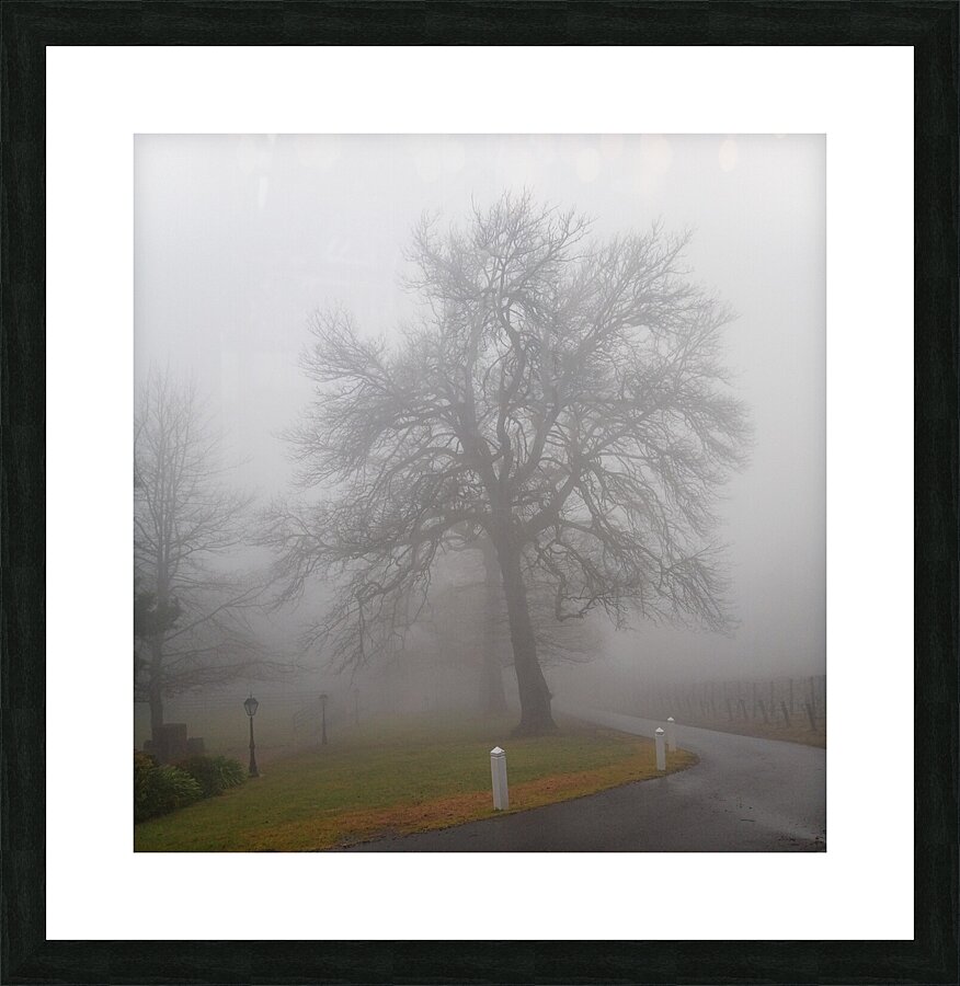 Arrival IV Picture Frame print