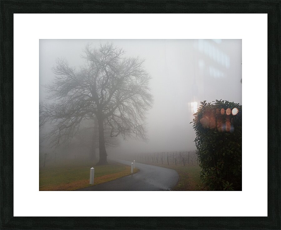 Arrival Picture Frame print