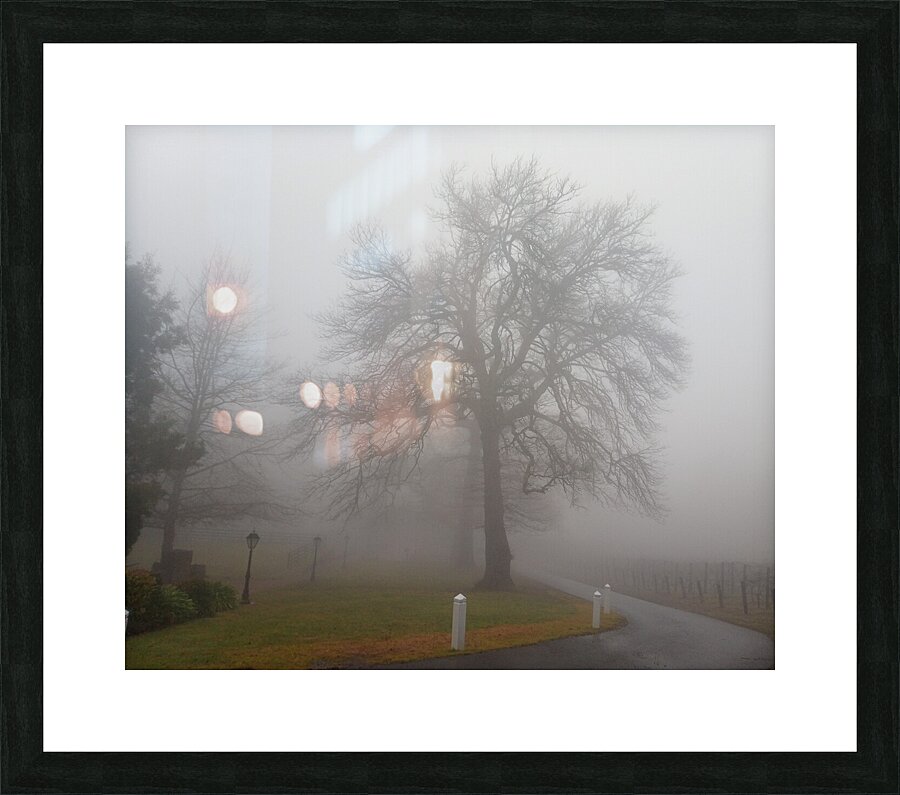 Arrival III Picture Frame print