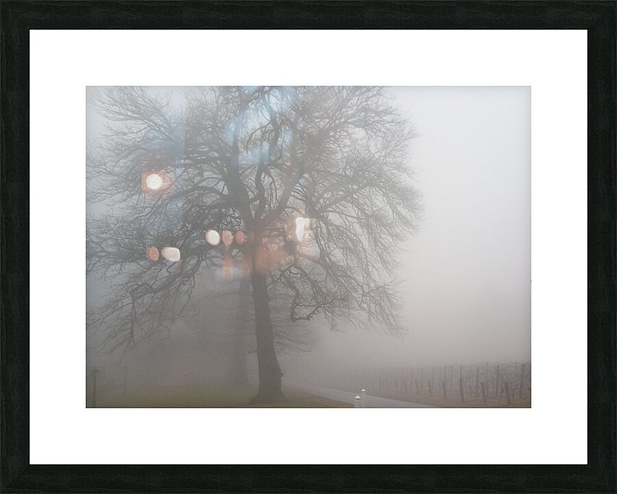 Arrival II Picture Frame print