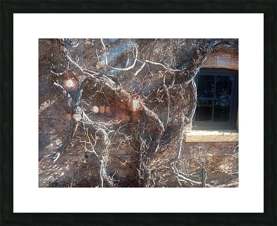 Winter I Picture Frame print