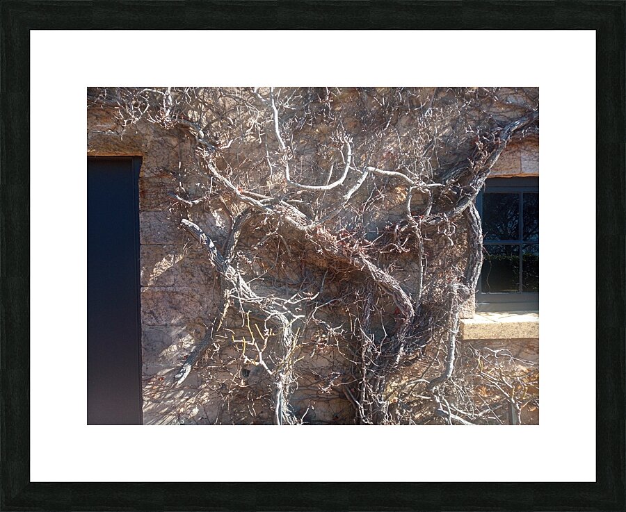Winter III Picture Frame print