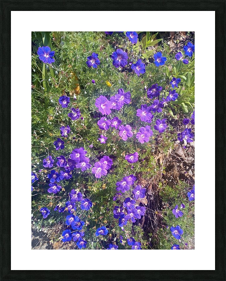 Dads Place I Picture Frame print