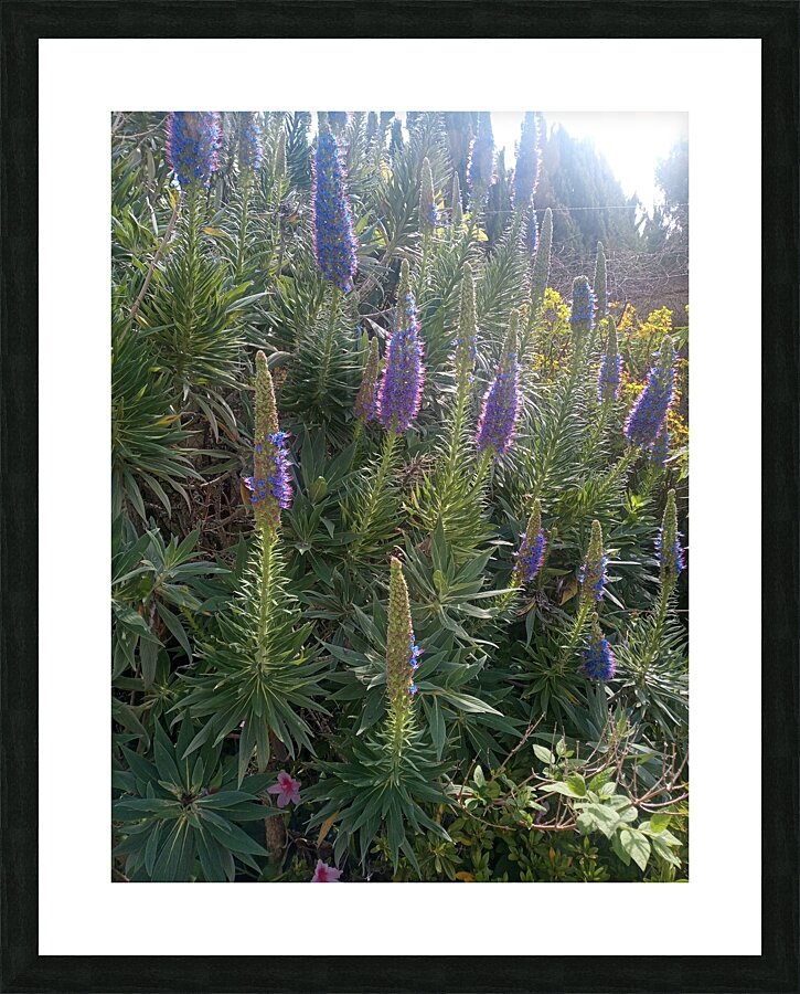 Dads Place IV Picture Frame print