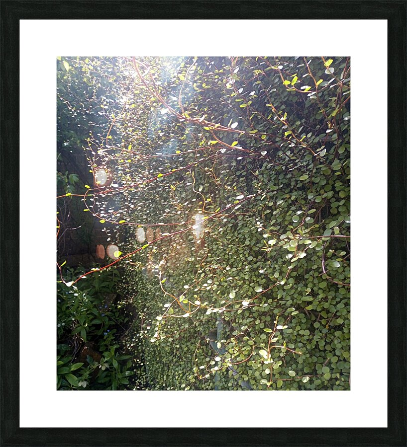 Dads Place VI Picture Frame print
