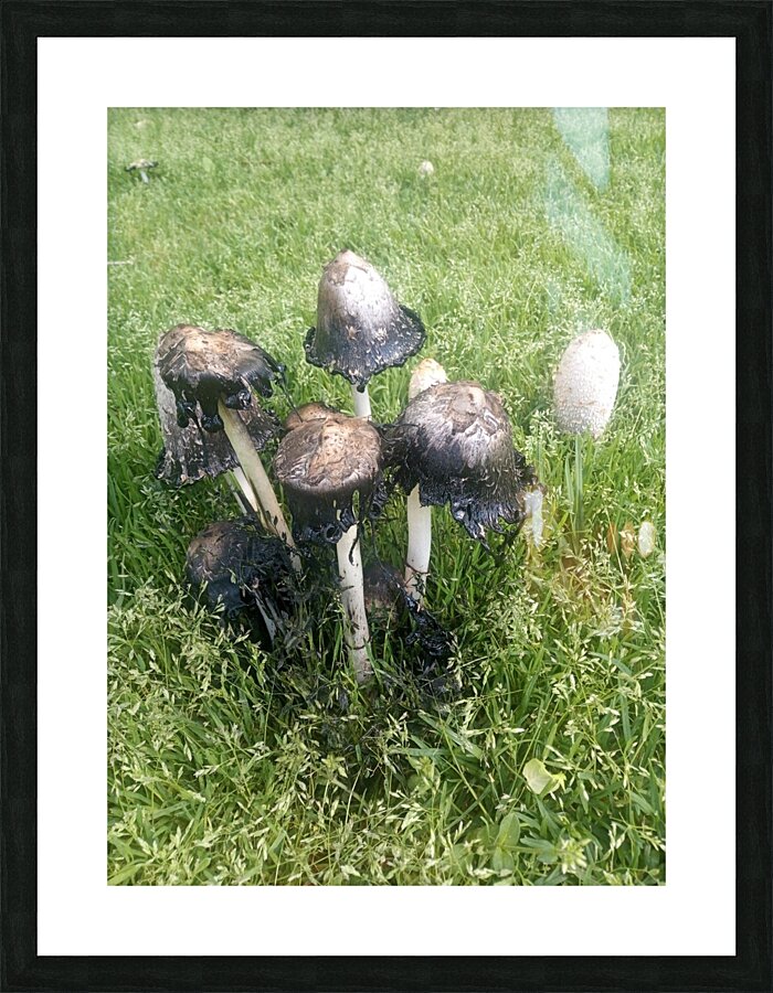 Decay  Picture Frame print