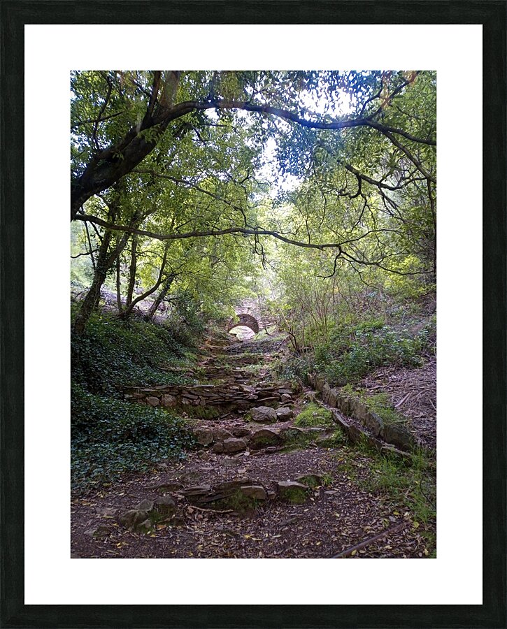 Waterfall Gully Bridge Picture Frame print
