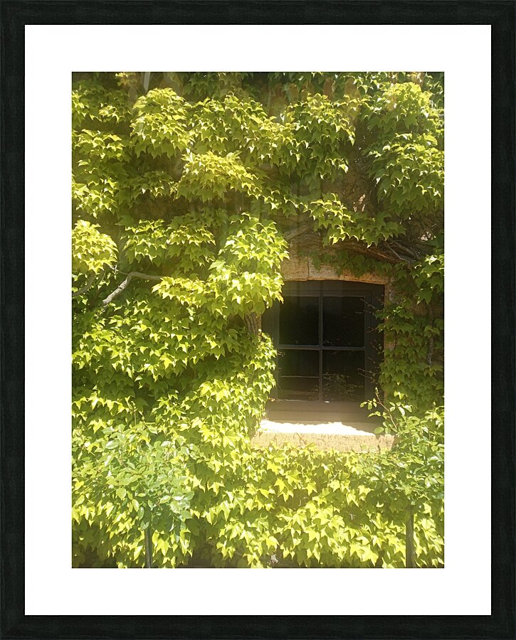 Spring Vines Picture Frame print