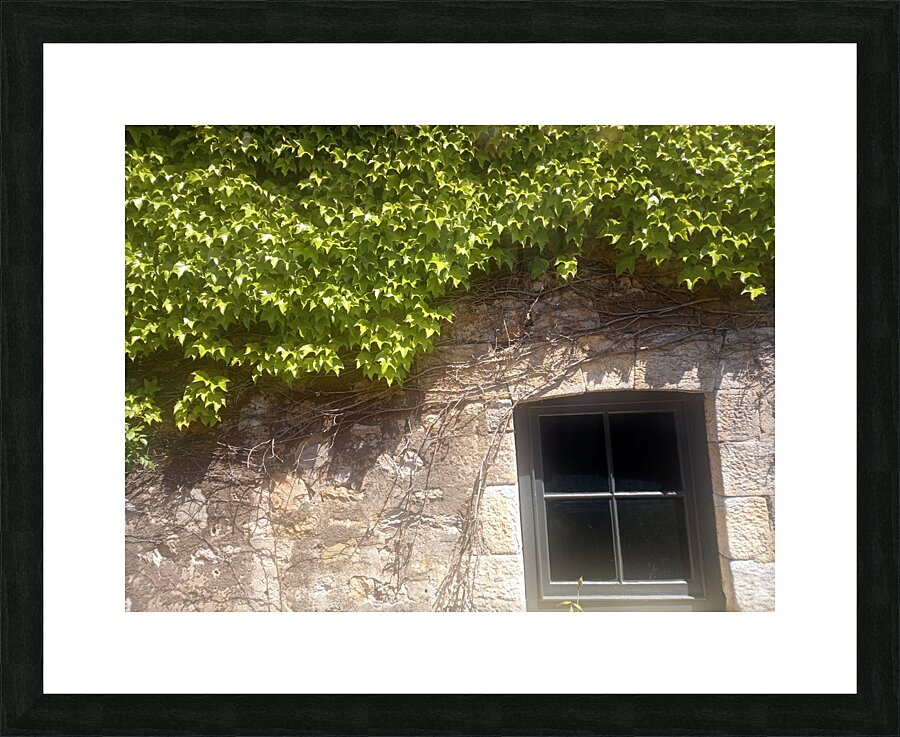 Spring Vines II Picture Frame print