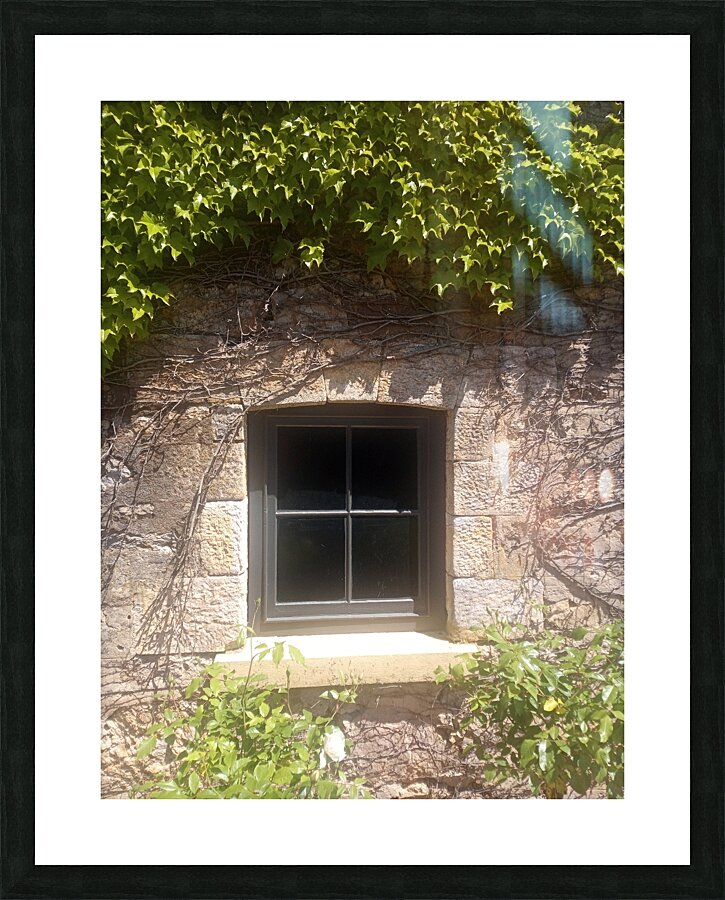 Spring Vines III Picture Frame print