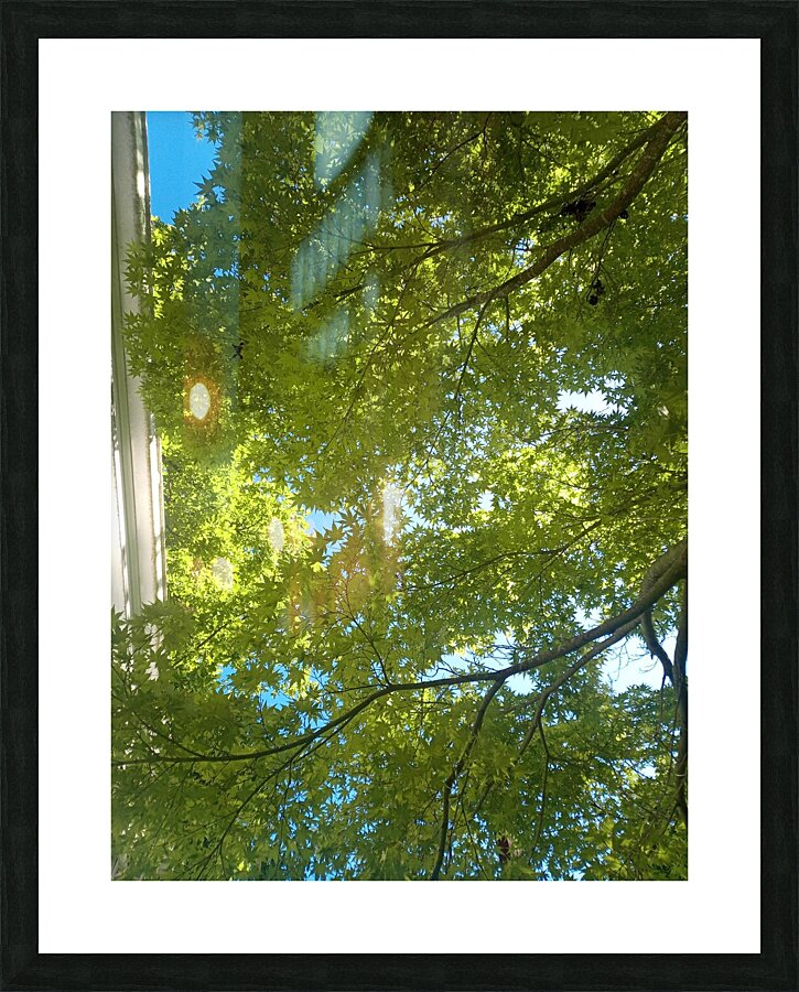 Umbrella Picture Frame print