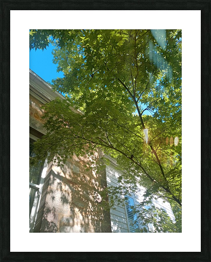 Umbrella II Picture Frame print