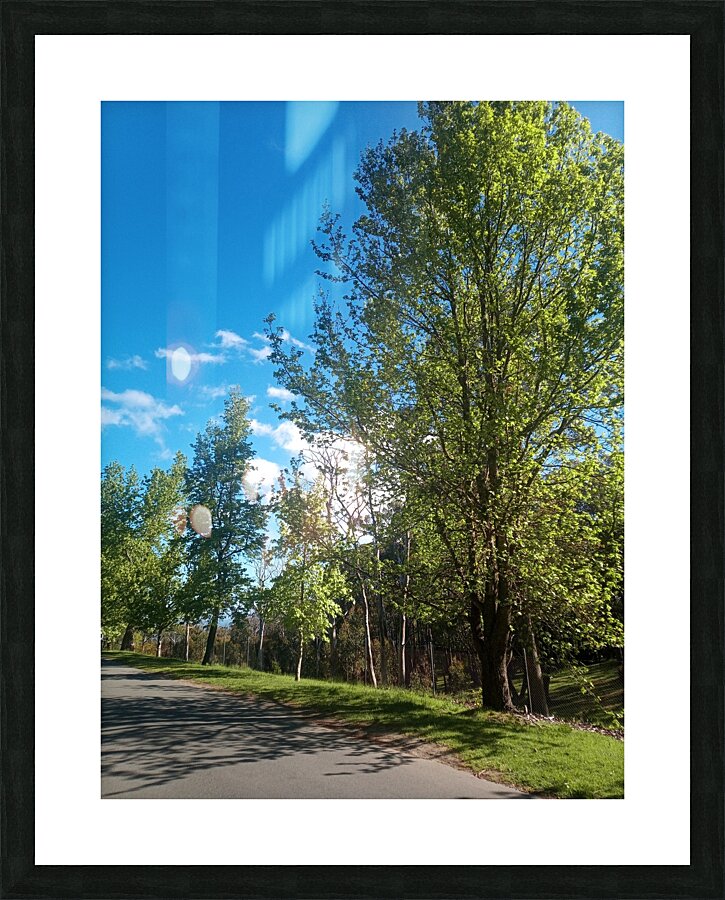 All Lined Up Picture Frame print