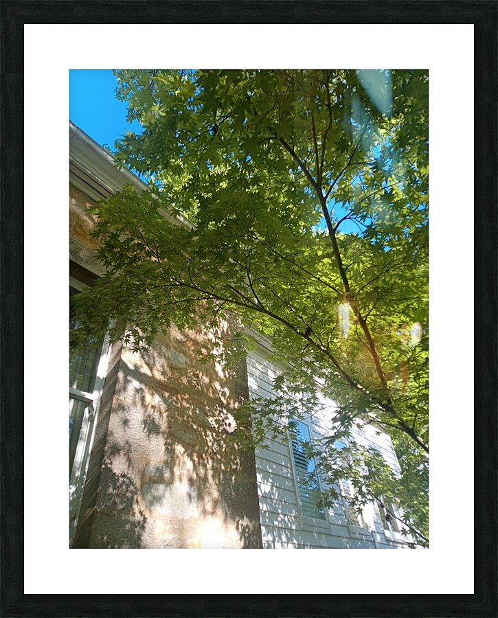 Umbrella III Picture Frame print