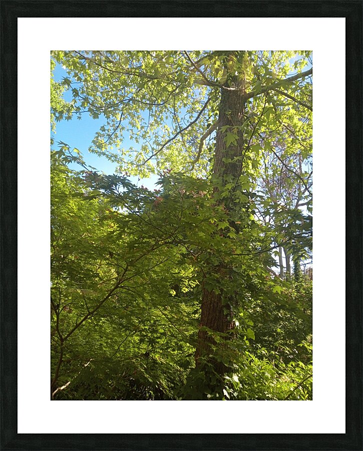Green Picture Frame print