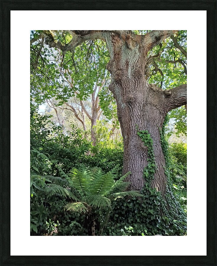 Room with a View Picture Frame print