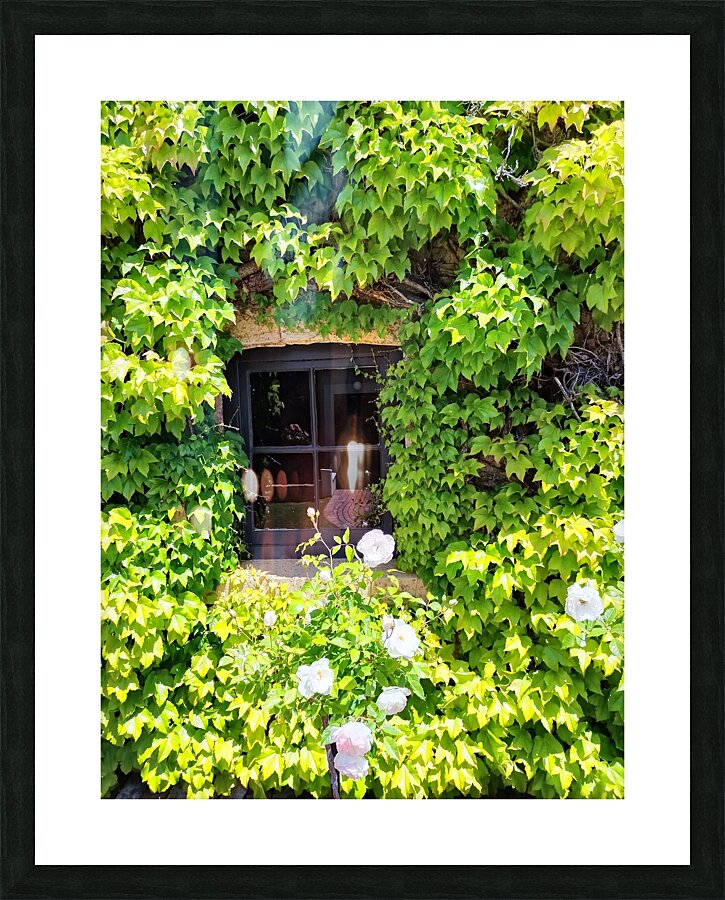 Spring Vines IV Picture Frame print