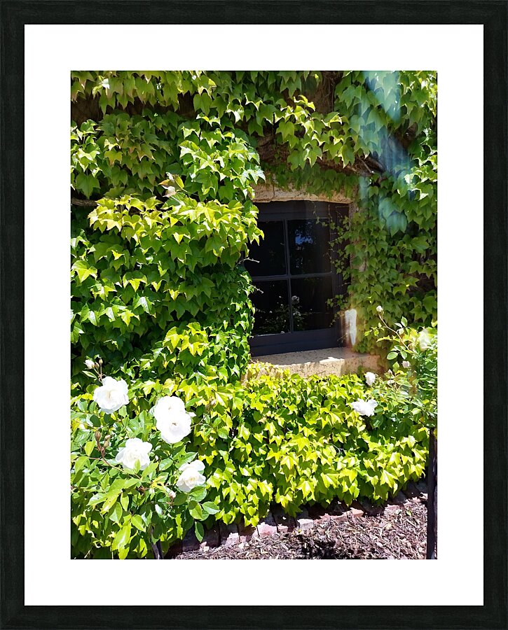 Spring Vines V Picture Frame print