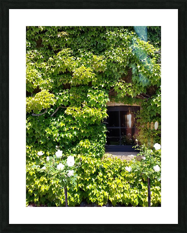 Spring Vines VI Picture Frame print