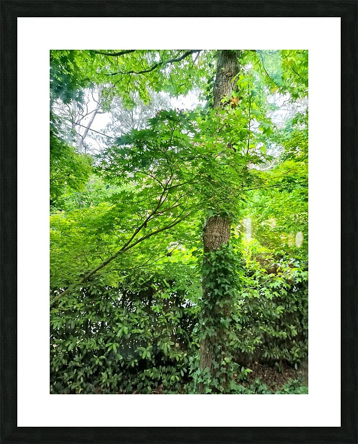 Green Leaves Picture Frame print
