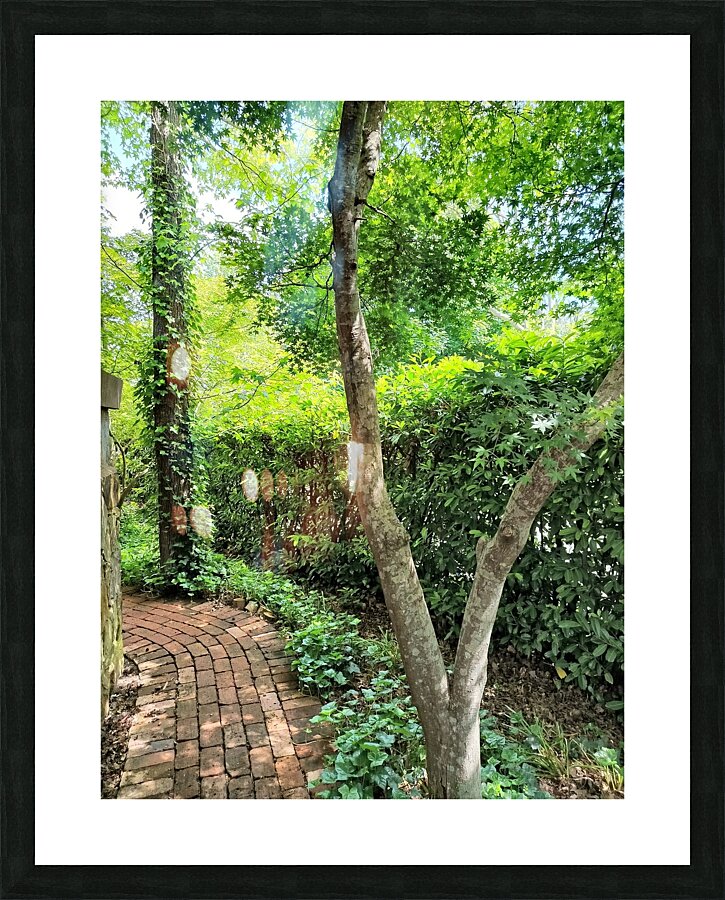 Pretty Path Picture Frame print