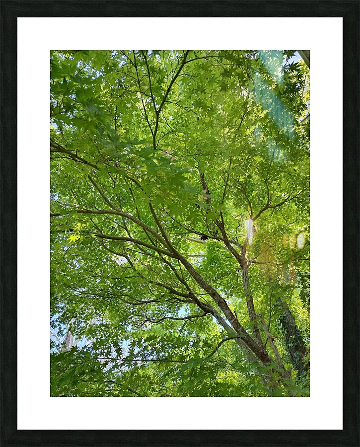 Stunning Picture Frame print
