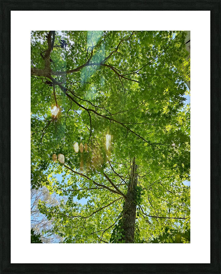 Networks Picture Frame print