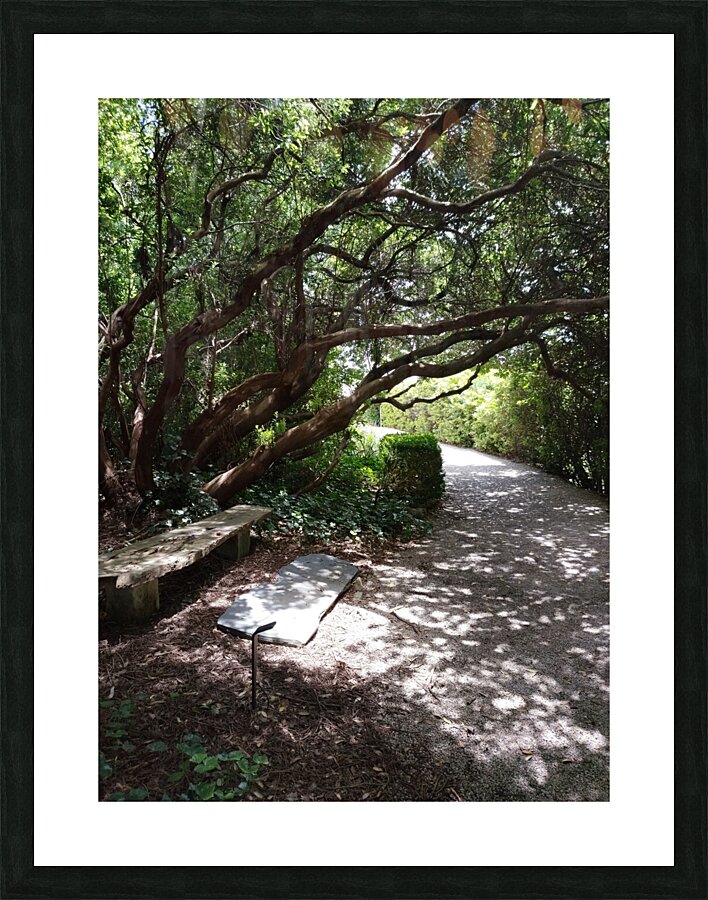 A Bench to Remember Picture Frame print