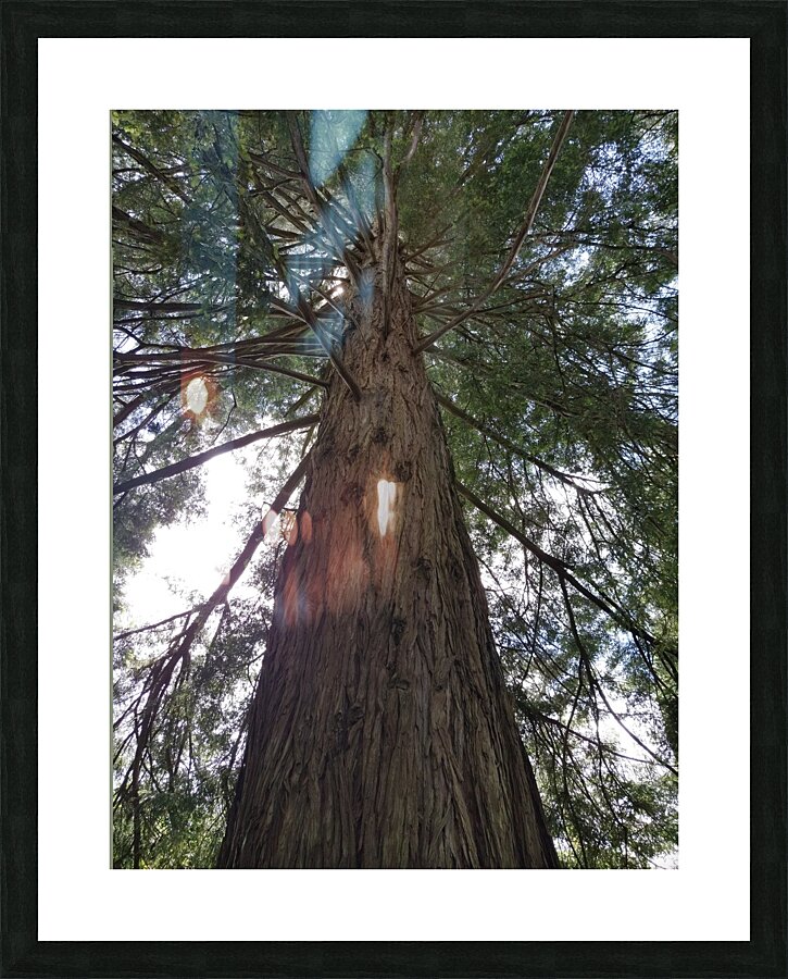 Stand Tall Picture Frame print
