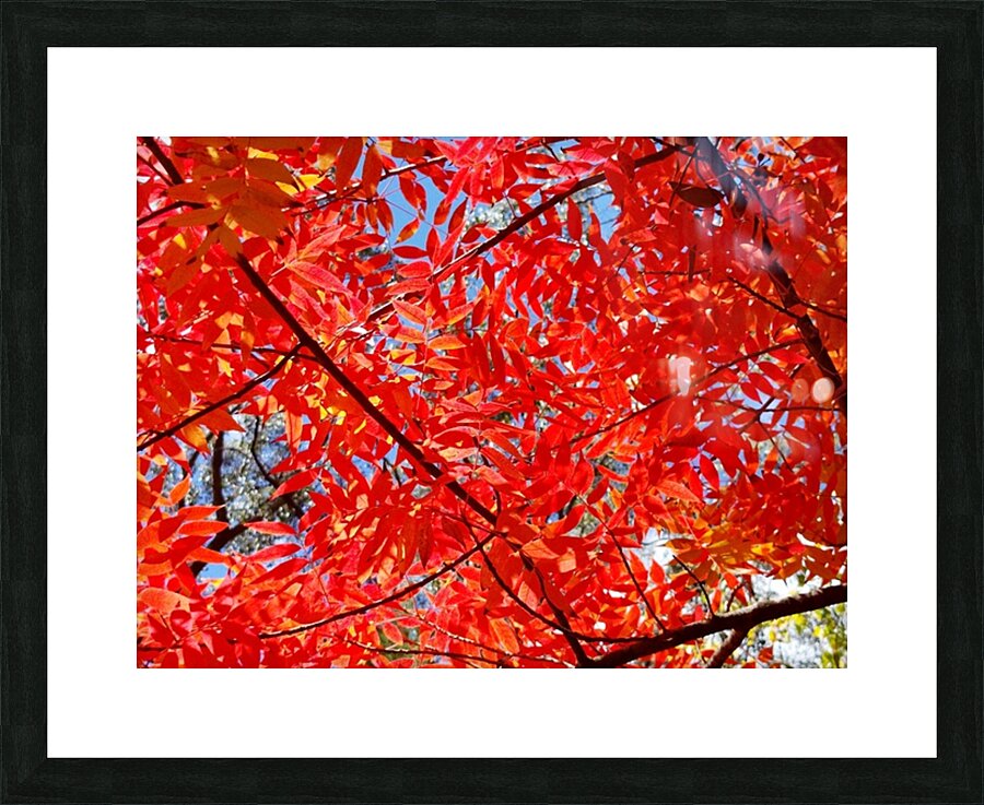 Blaze Picture Frame print