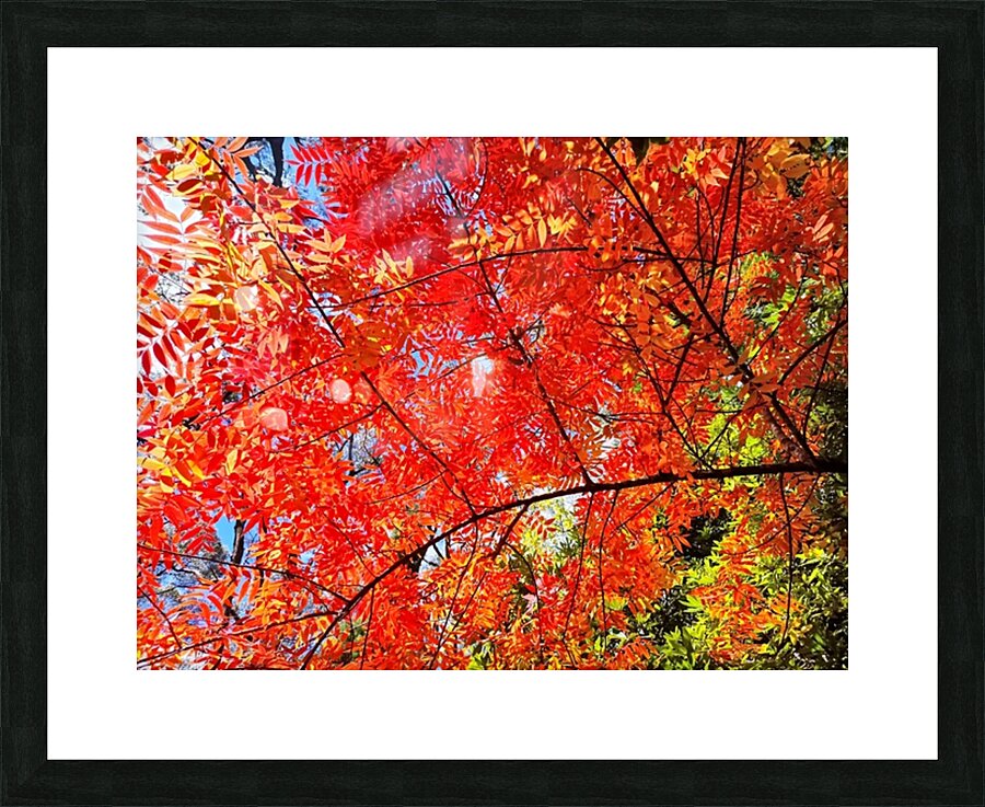 Blaze II Picture Frame print